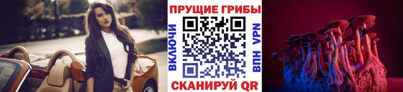 Псилоцибиновые грибы прущие грибы  omg онион  Кондрово 